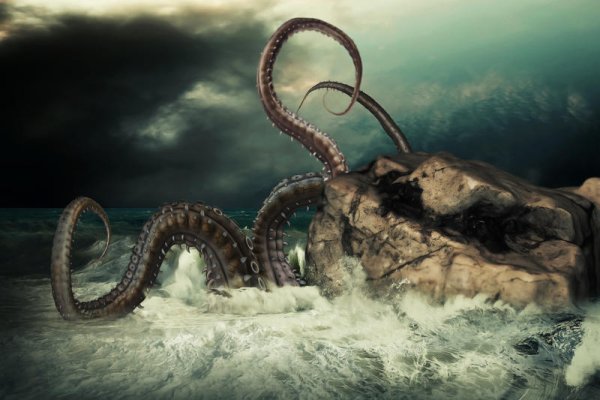 Kraken рынок